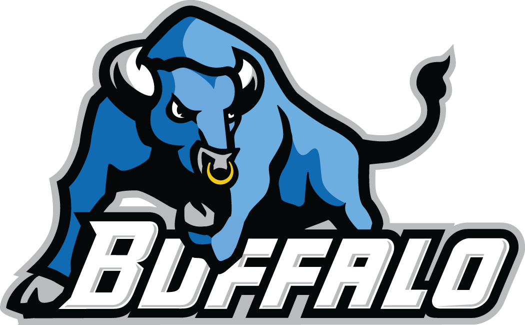 Buffalo Bulls 2007-2011 Primary Logo DIY iron on transfer (heat transfer)
